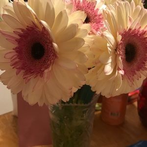 Meet your Posher, Terri